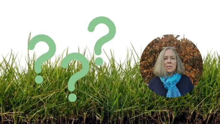 Collage mit Gras